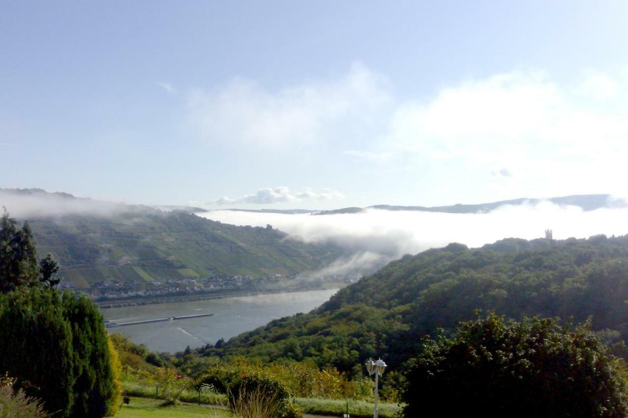 Schau-Rhein#1 - On Top Of Bacharach, Rhineview Extérieur photo