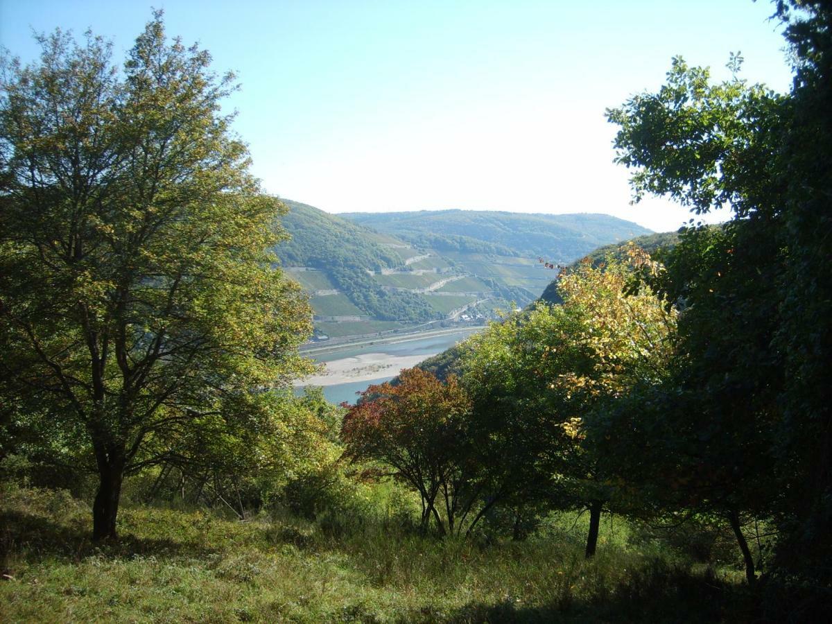 Schau-Rhein#1 - On Top Of Bacharach, Rhineview Extérieur photo